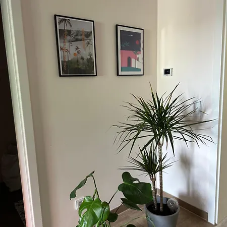 Stilvolle, Ruhige Und Zentrale In Ehrenfeld Apartament