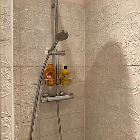 Stilvolle, Ruhige Und Zentrale In Ehrenfeld